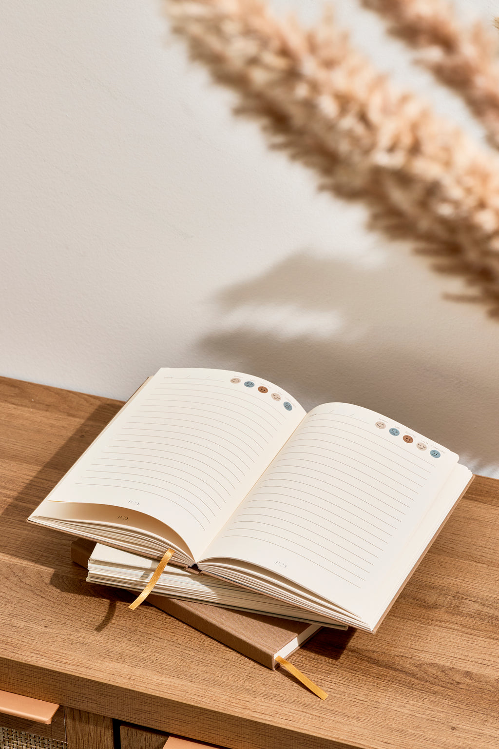Reflection: The Guided Journal