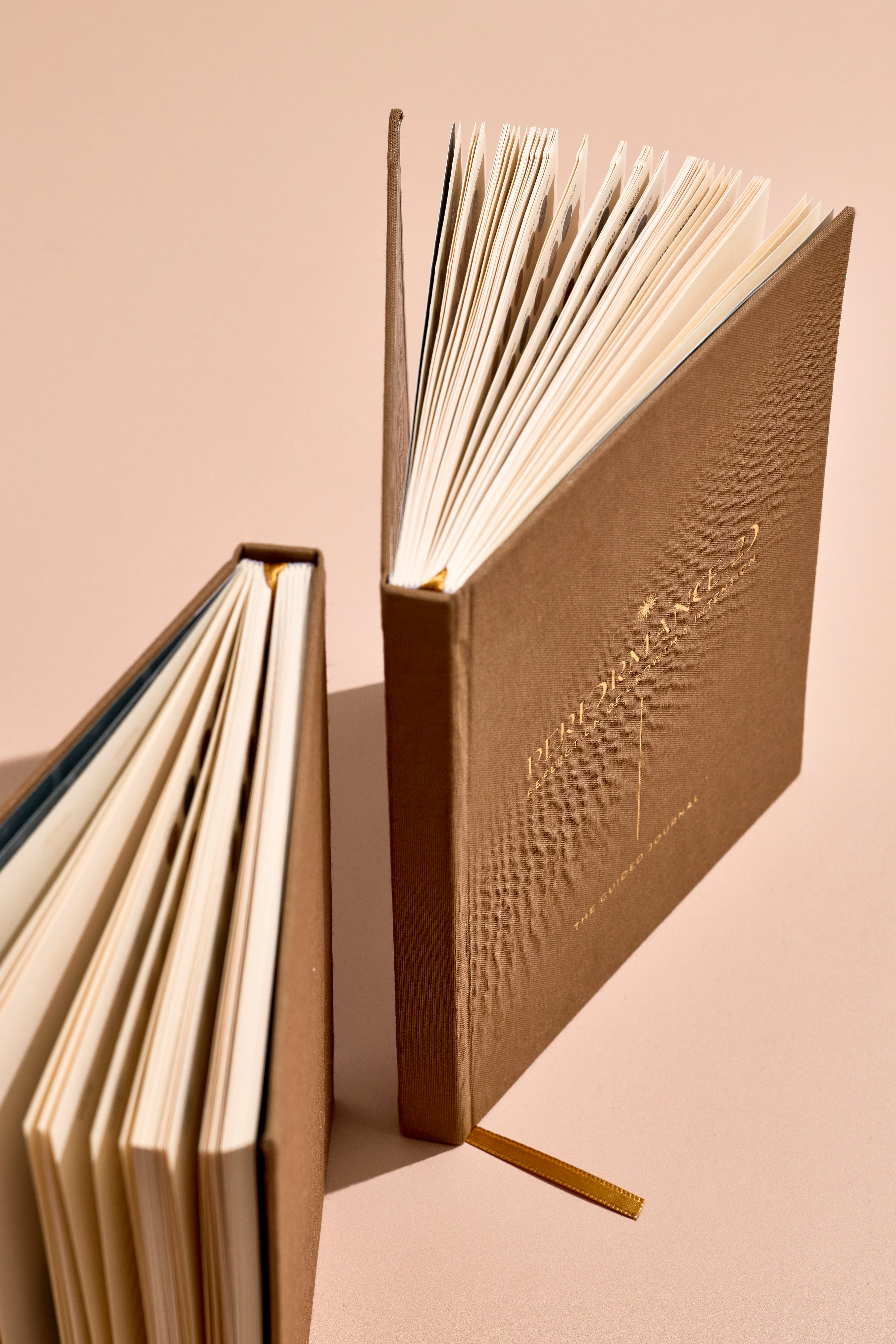 Reflection: The Guided Journal